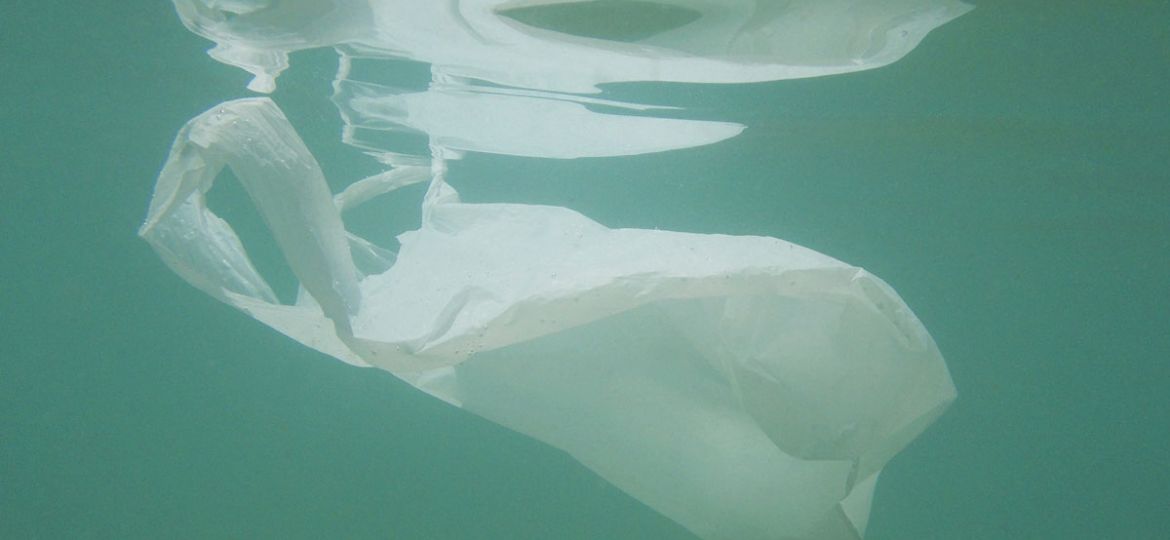 Sac de plastique flottant dans l'eau