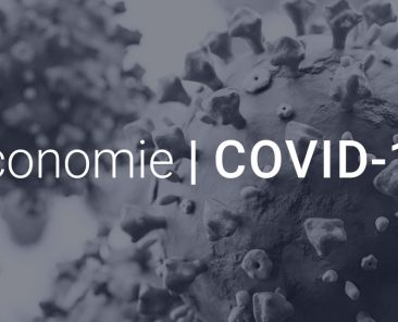 Rapport économique - Covid 19