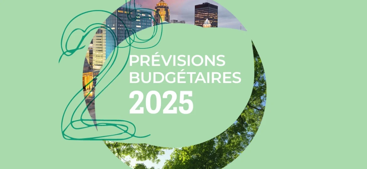 Prévisions budgétaires 2025