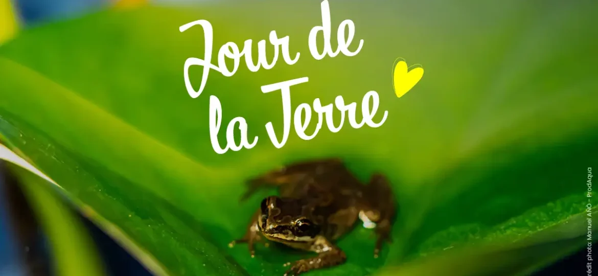 Jour de la terre